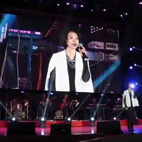 派對晚會 / 演唱會